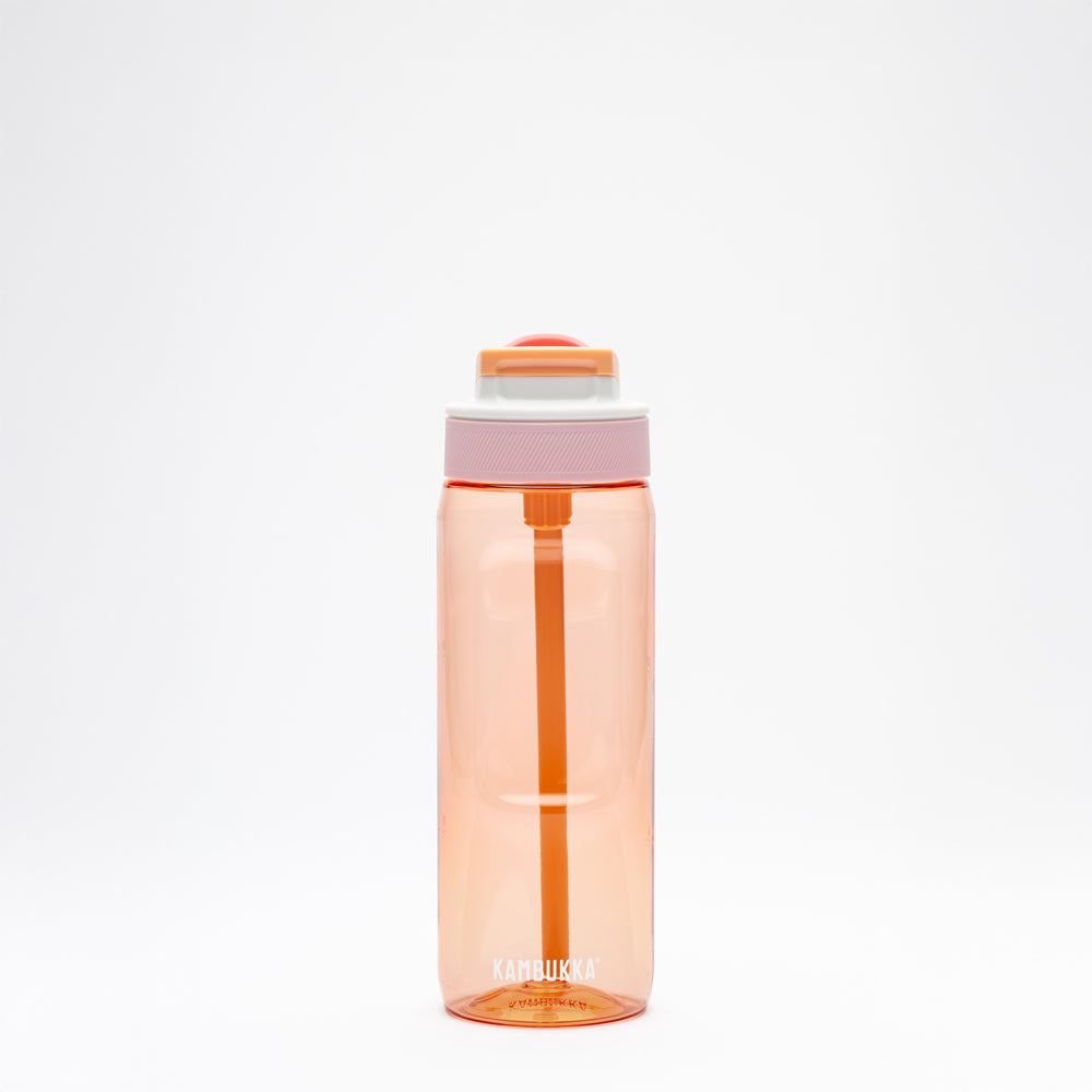 Lagoon 750 ml Mango Tango