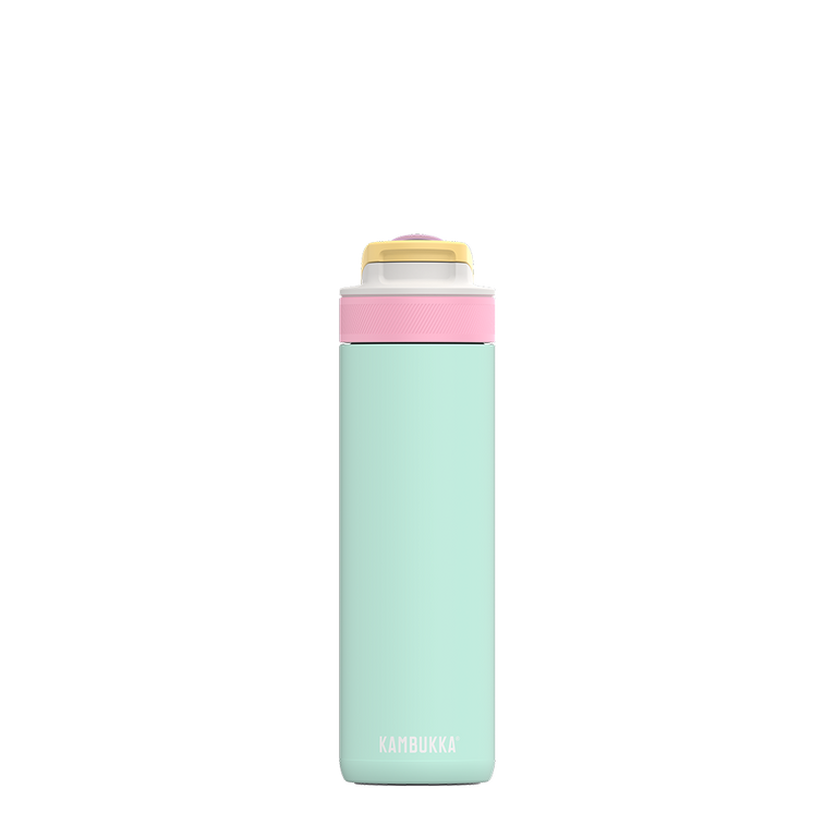 Lagoon Insulated 600 ml