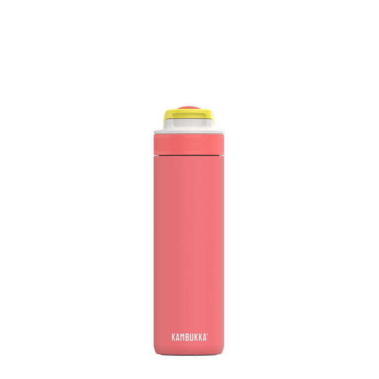 Lagoon Insulated 600 ml