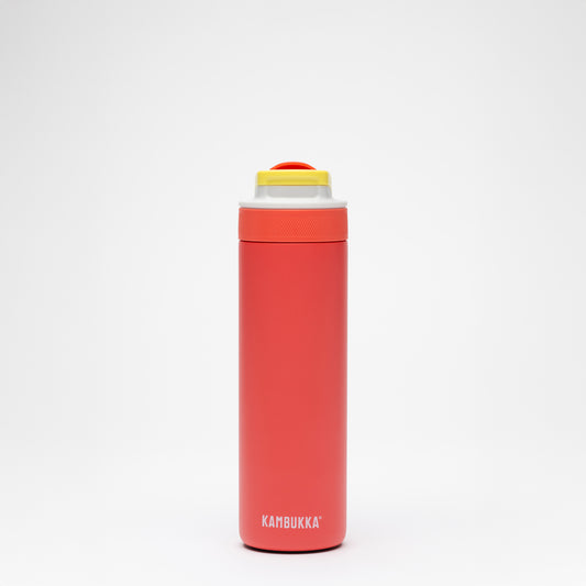 Lagoon Insulated 600 ml