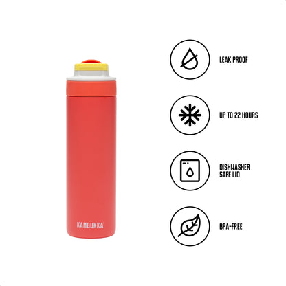 Lagoon Insulated 600 ml